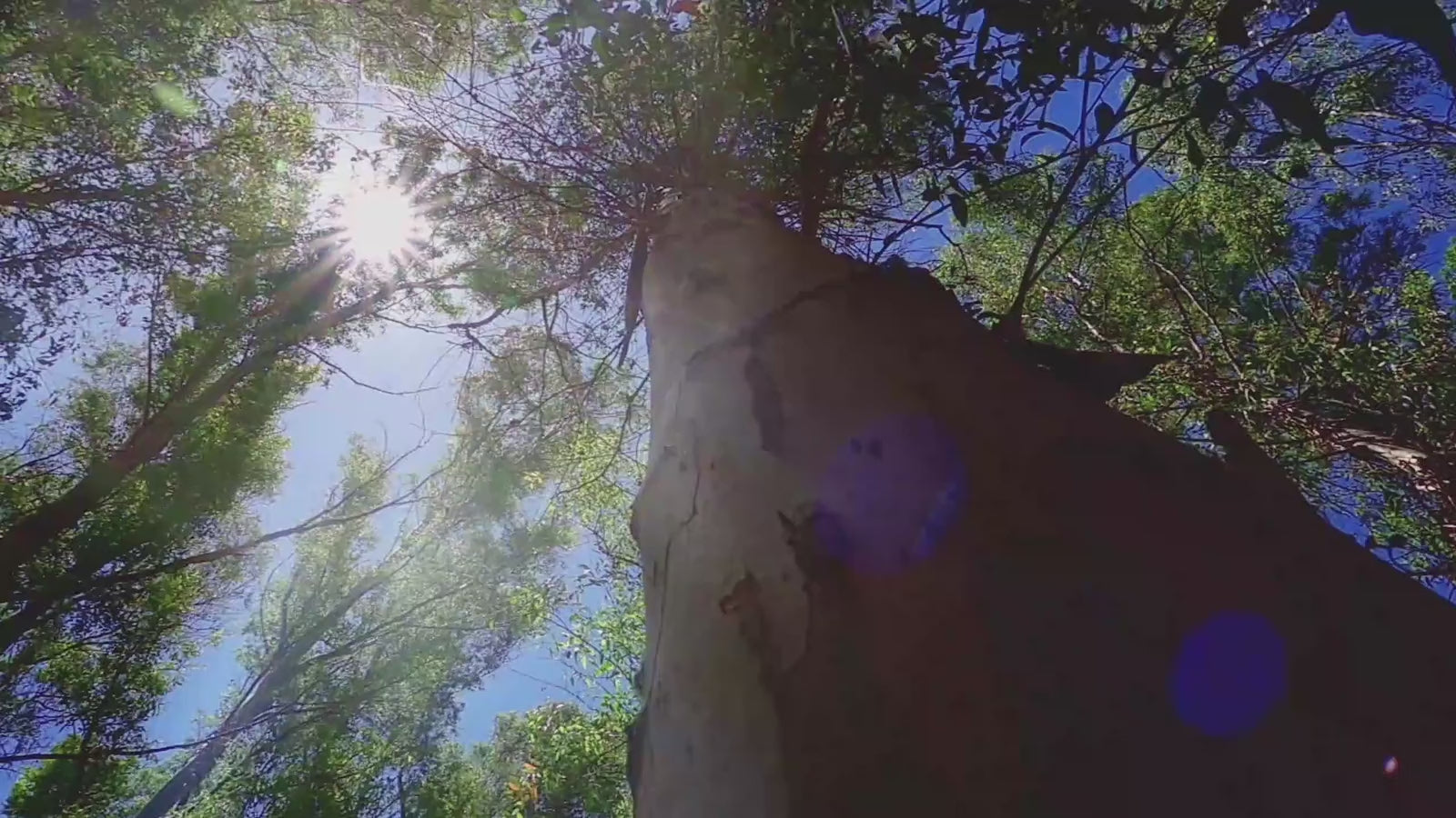 BbLAB story-today.mp4
